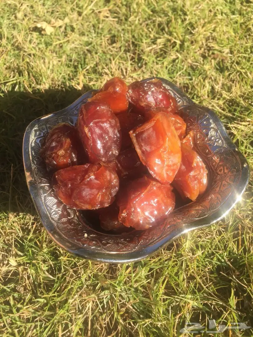 تمر خلاص للبيع