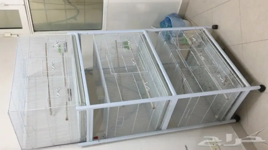 اقفاص مستعمله مده قصيره للبيع 