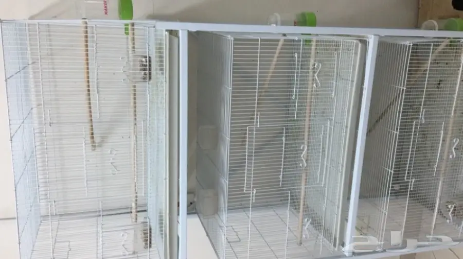 اقفاص مستعمله مده قصيره للبيع  (image 1)