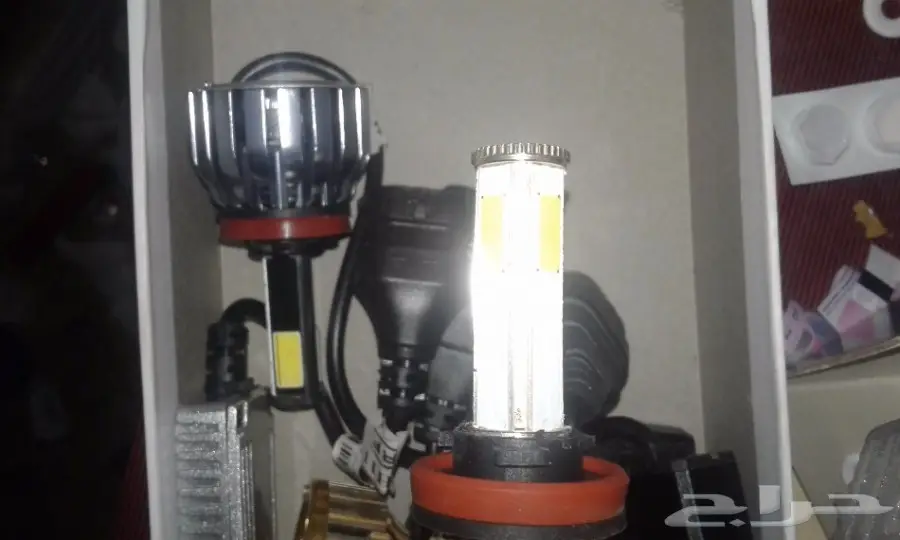 ليد زنون  (image 1)