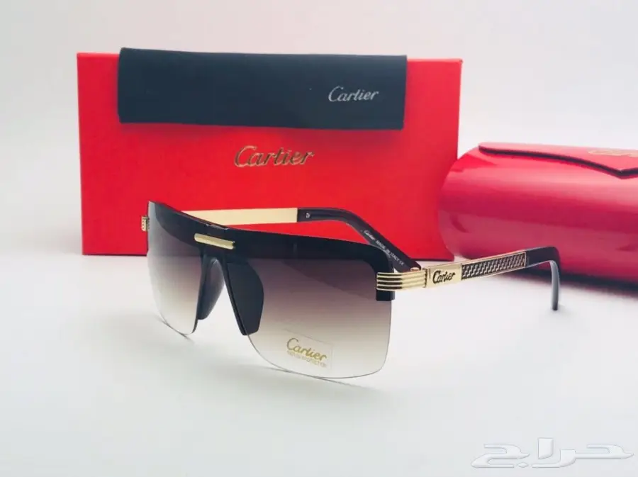 نظارات شتوية وبراويز طبية 2030 (image 259)