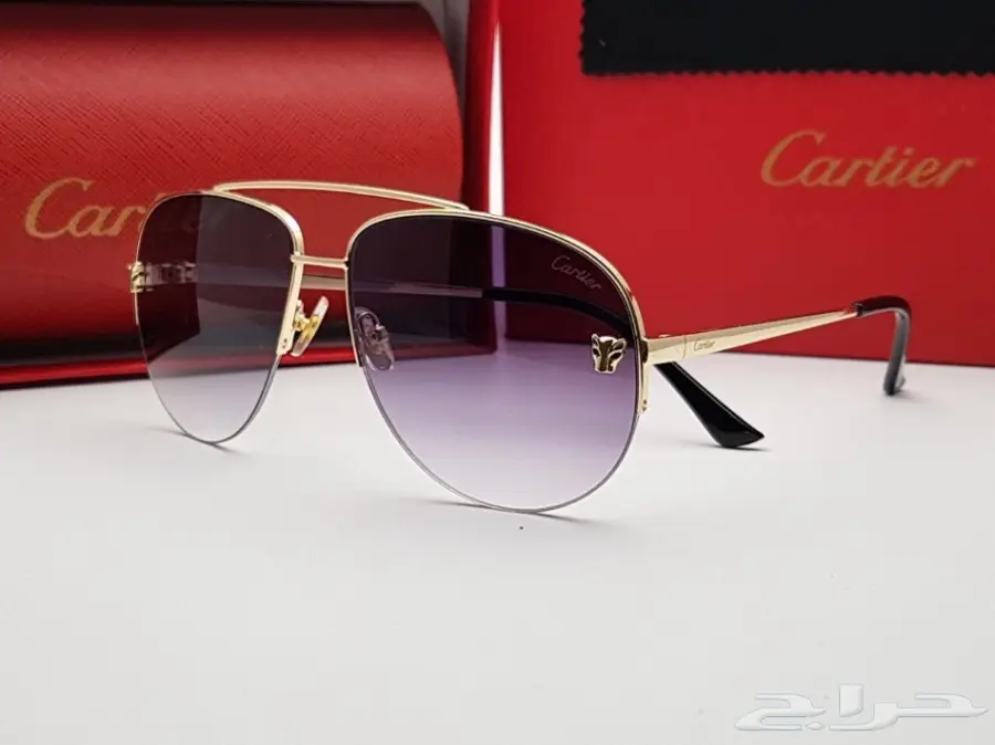 نظارات شتوية وبراويز طبية 2030 (image 65)