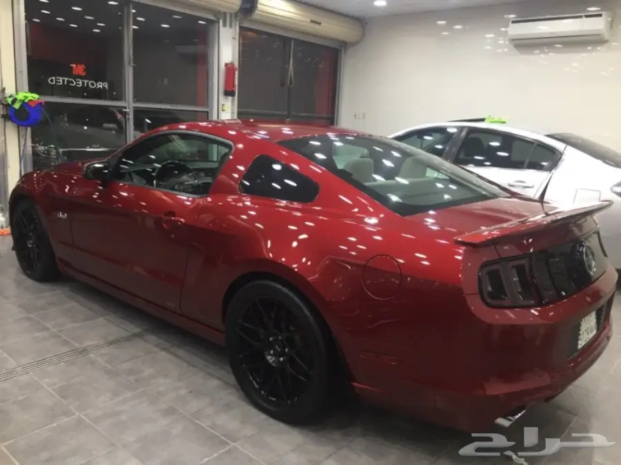 موستنق 2014 للبيع 