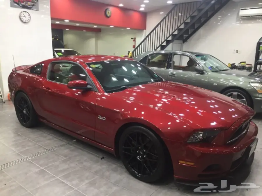 موستنق 2014 للبيع  (image 5)