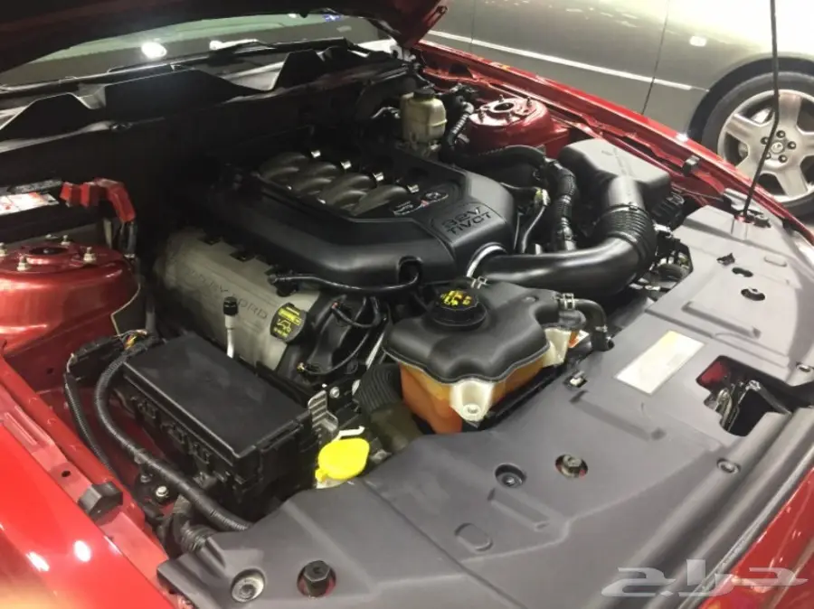 موستنق 2014 للبيع  (image 7)