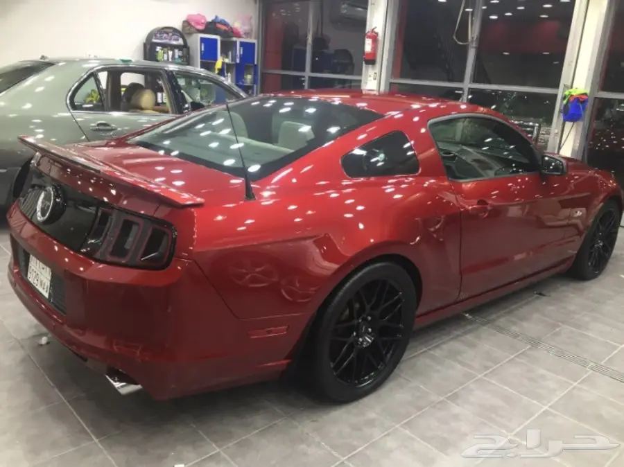 موستنق 2014 للبيع  (image 9)