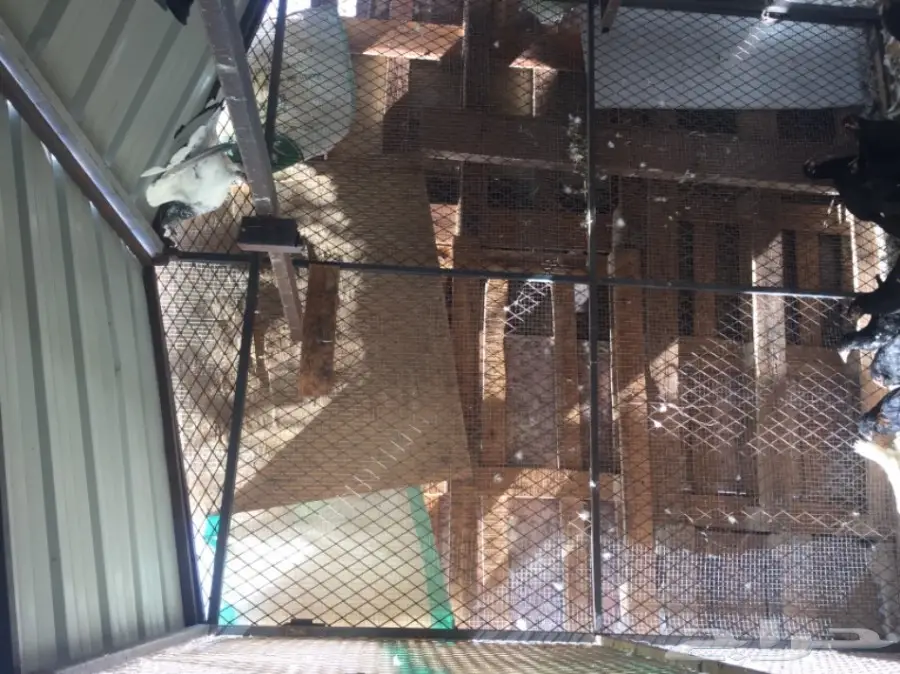 للبيع: حديد مستعمل - فرصة ذهبية!