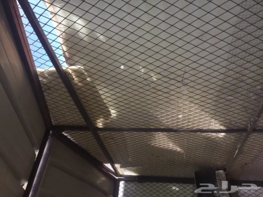 للبيع: حديد مستعمل - فرصة ذهبية! (image 2)