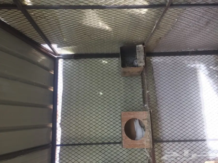 للبيع: حديد مستعمل - فرصة ذهبية! (image 3)