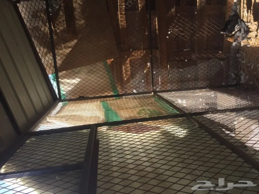 للبيع: حديد مستعمل - فرصة ذهبية! (image 4)