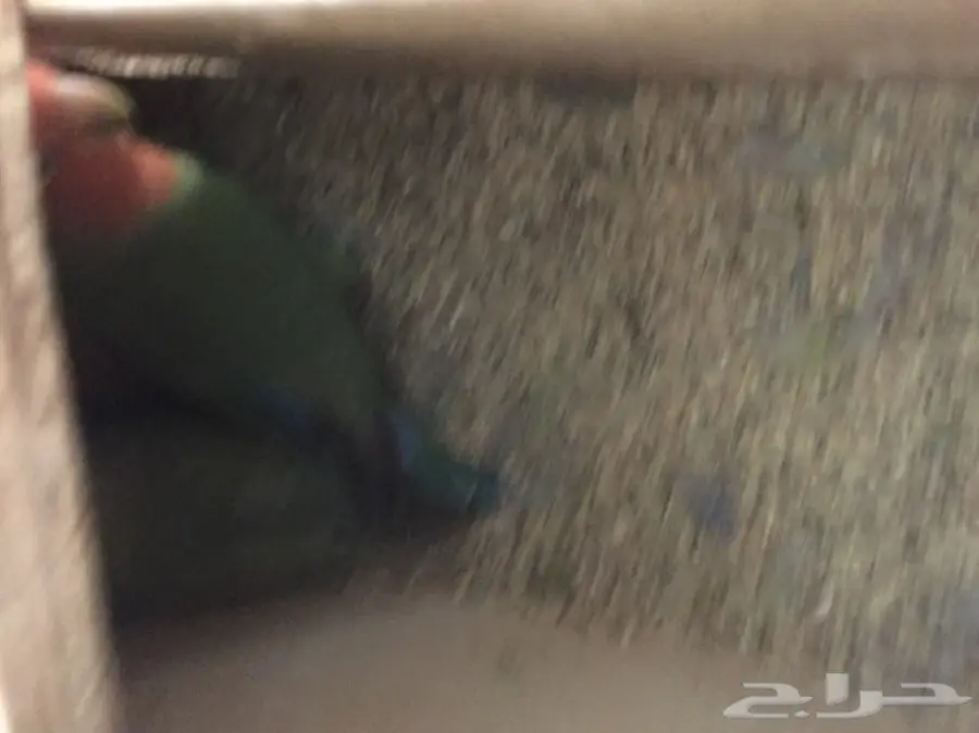 زوج روز   (image 3)