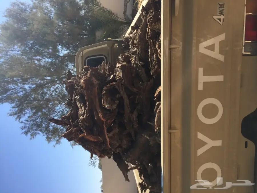 للبيع حطب آرطا 600 ريال (image 1)