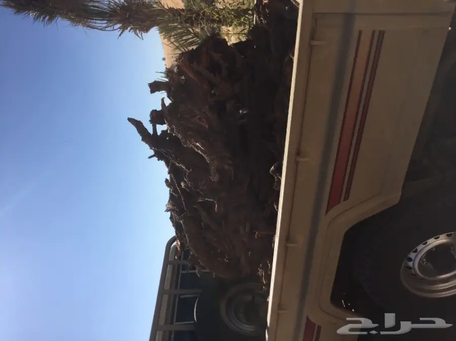 للبيع حطب آرطا 600 ريال (image 2)