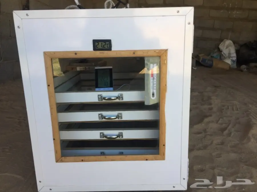 فقاسه بيض (image 4)