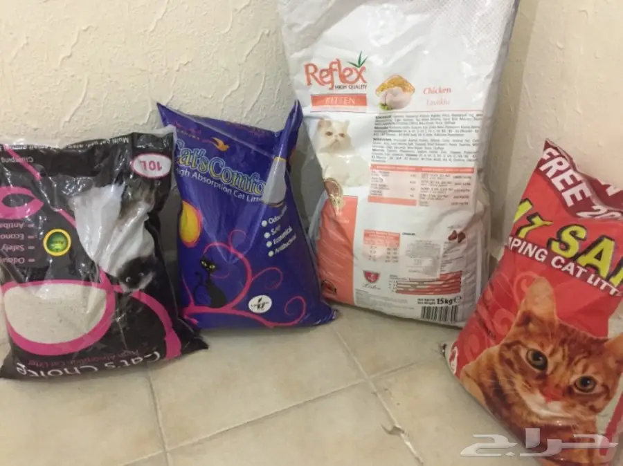 قطاوي طازجة - فرصة ذهبية!