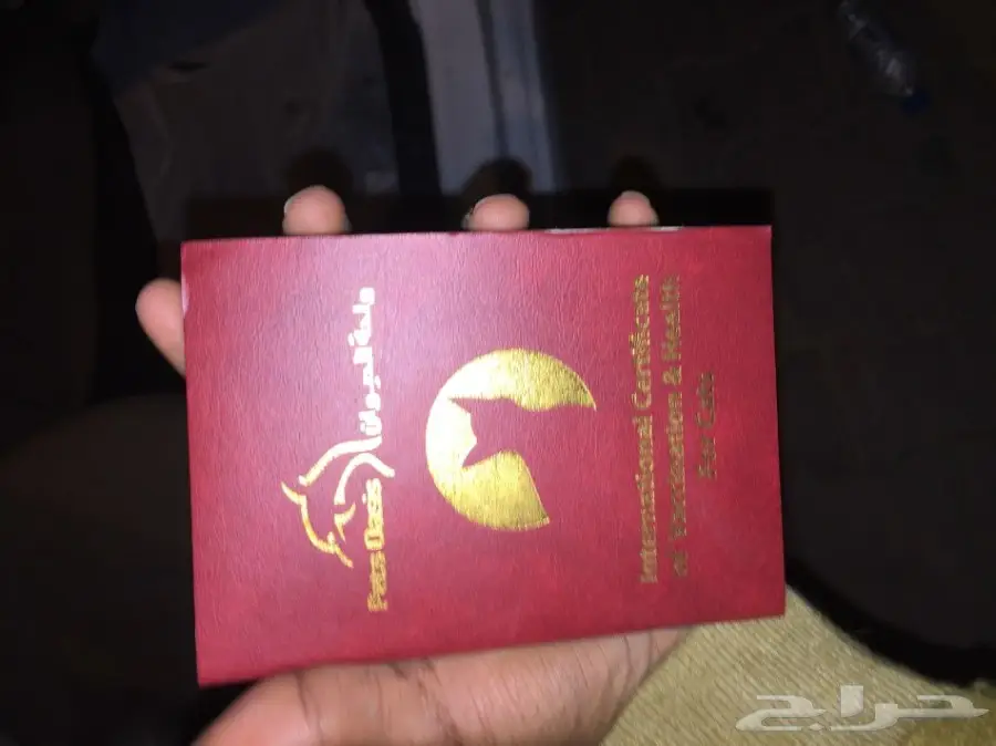 للبيع قطه (image 2)