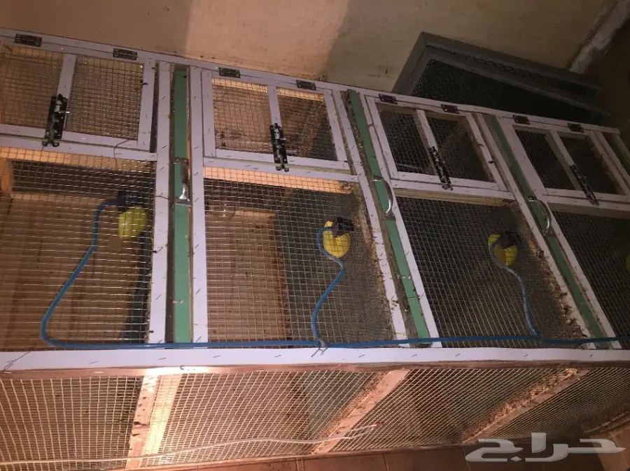 للبيع محاكر تنضيف (image 2)