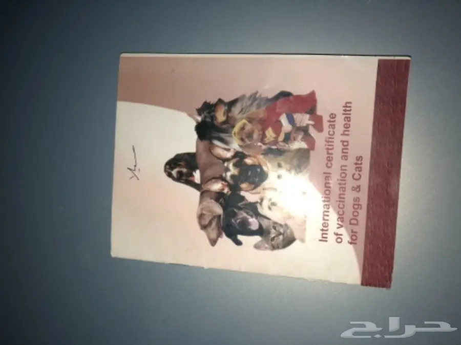 بسط نوع هَمْلاية - شهادة رسمية (image 1)