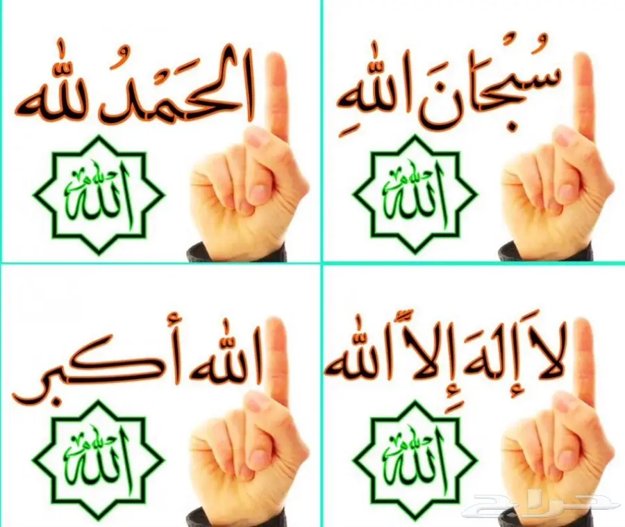 رائد الاستبدال للاجهزة الكهربائية مكيف ثلاجة  (image 45)