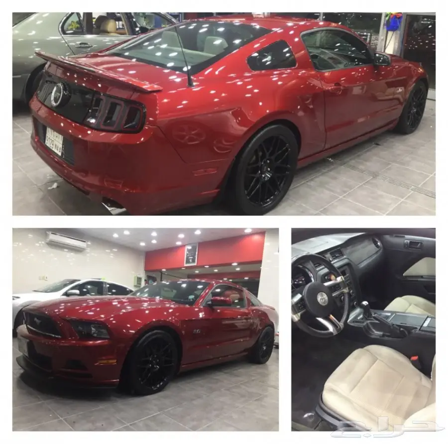 موستنق 2014 للبيع  (image 8)