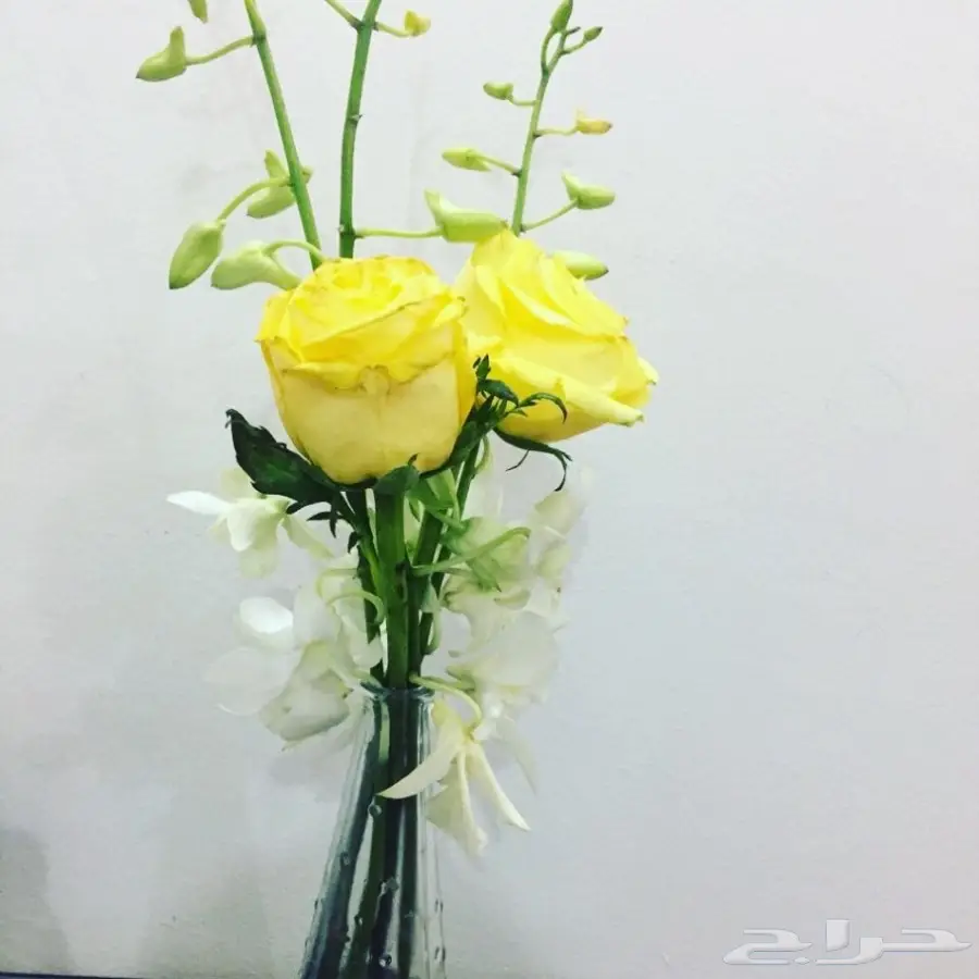 اشتراك باقات ورد للمنازل (image 1)