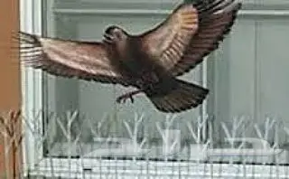 شركه تنظيف فلل شقق خزانات طارد ومكافحه حمام 