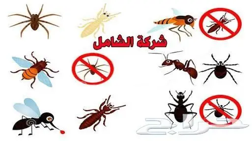 شركة تنظيف بالرياض مكافحةالحشرات  (image 4)