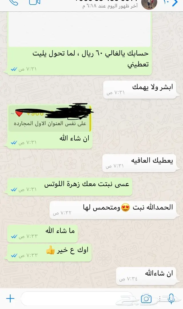 بذور زهرة اللوتس المائية (image 3)