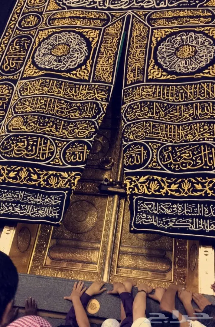 فرصه مربحه باذن الله  لا تتعوض للمستثمرين 