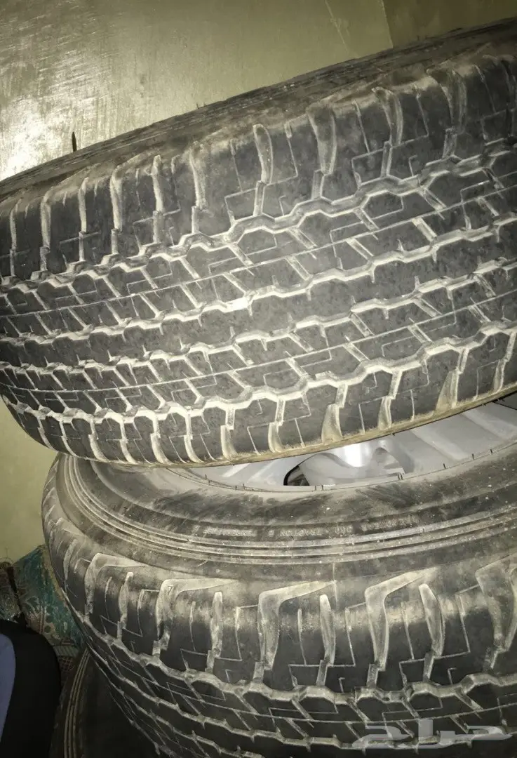 جنوط للبيع  (image 1)