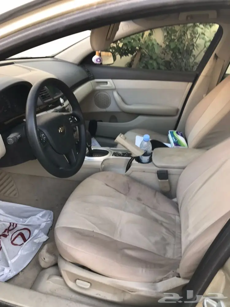 كابرس للبيع والبيع سمح باذن الله  (image 15)