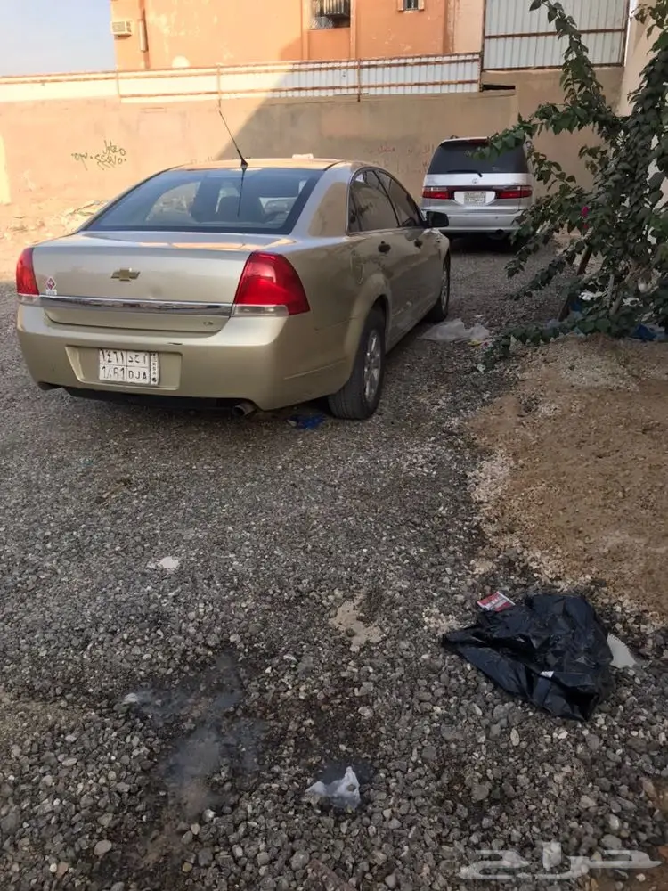 كابرس للبيع والبيع سمح باذن الله  (image 22)