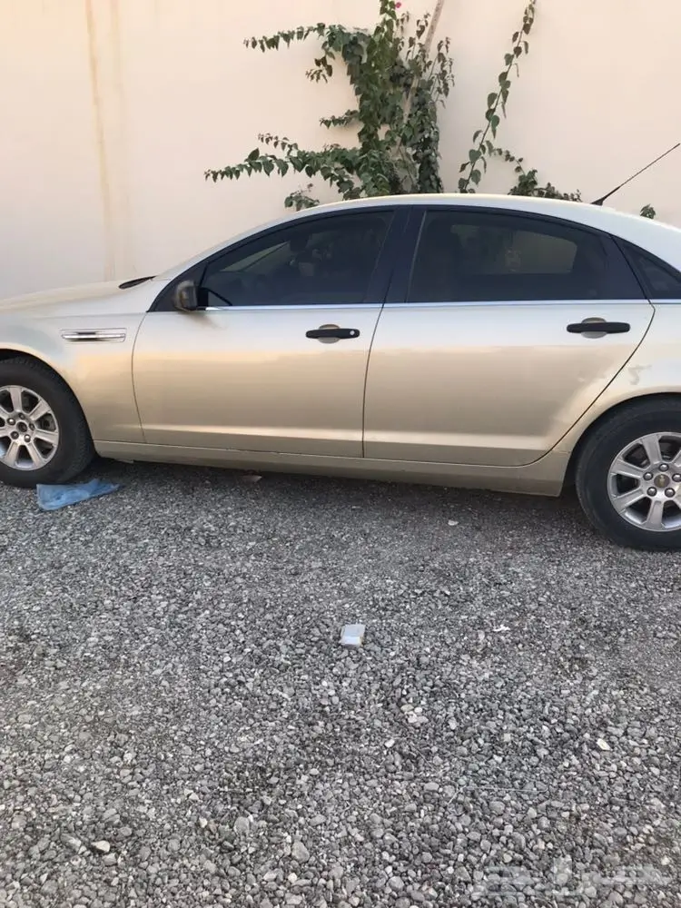 كابرس للبيع والبيع سمح باذن الله  (image 23)