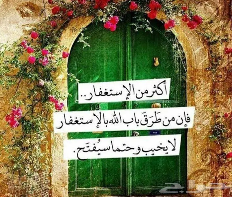 ارغب في سيارة او مكيفات محتاج سوليه