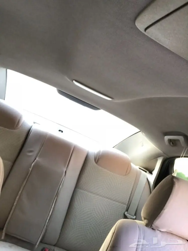 كابرس للبيع والبيع سمح باذن الله  (image 3)