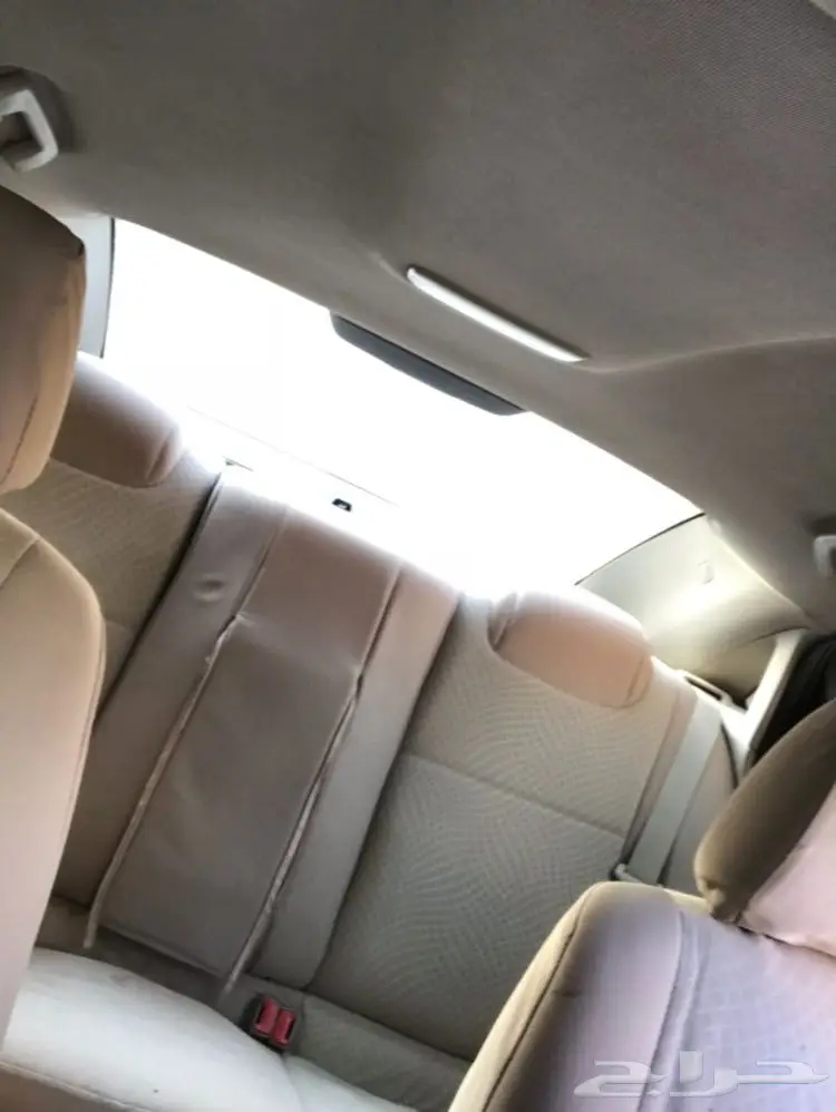 كابرس للبيع والبيع سمح باذن الله  (image 4)