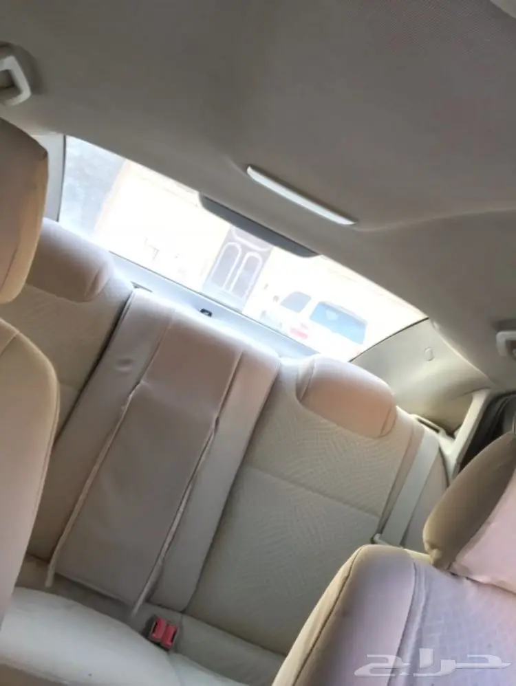 كابرس للبيع والبيع سمح باذن الله  (image 5)