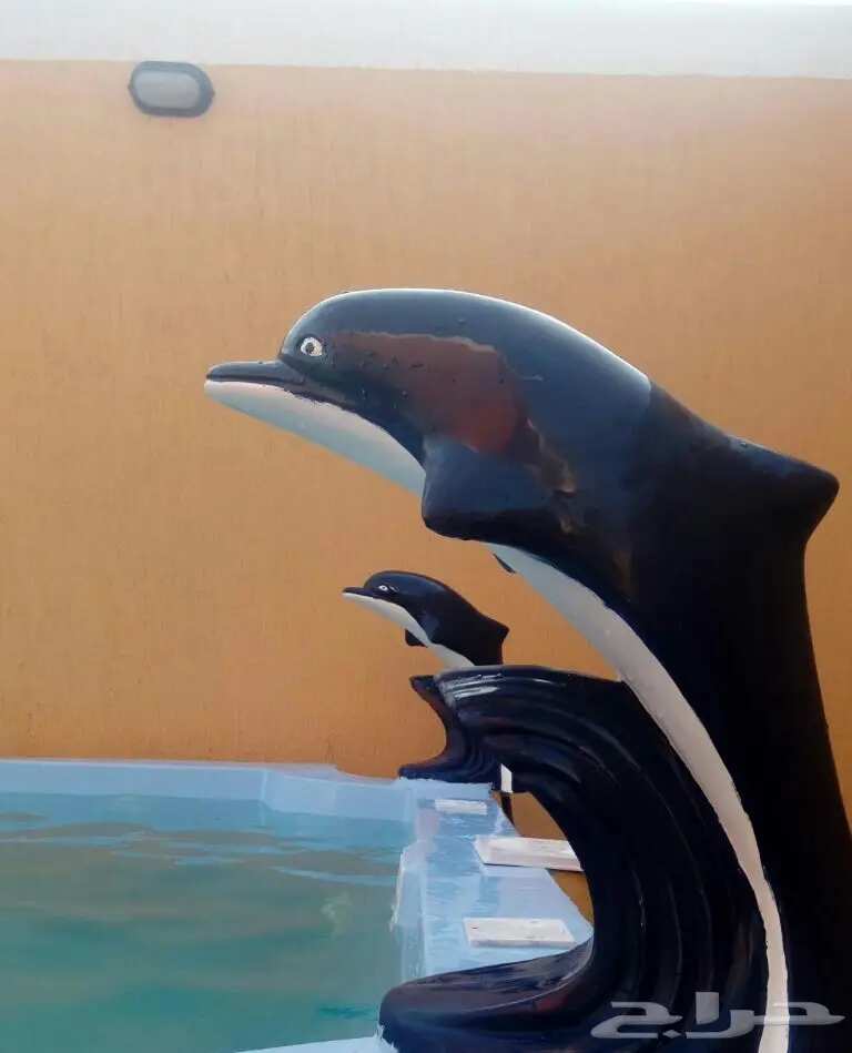 مسابح فايبر جلاس بمواصفات أسبانية أشكال مميزة (image 3)