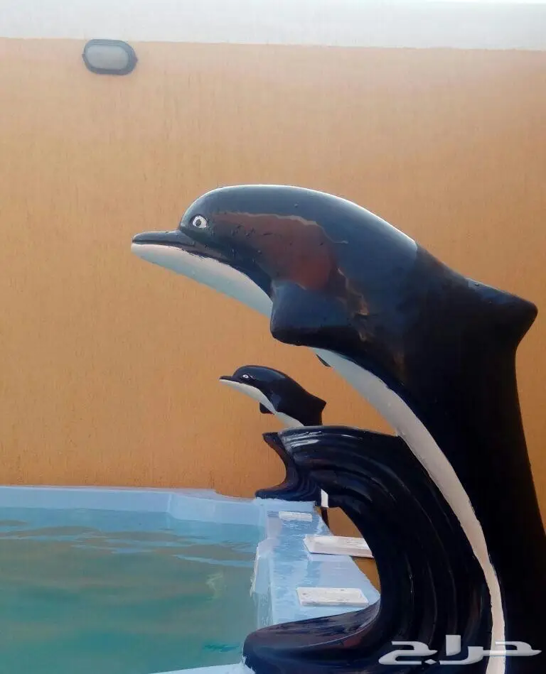 مسابح فايبرجلاس بمواصفات أسبانية (image 3)