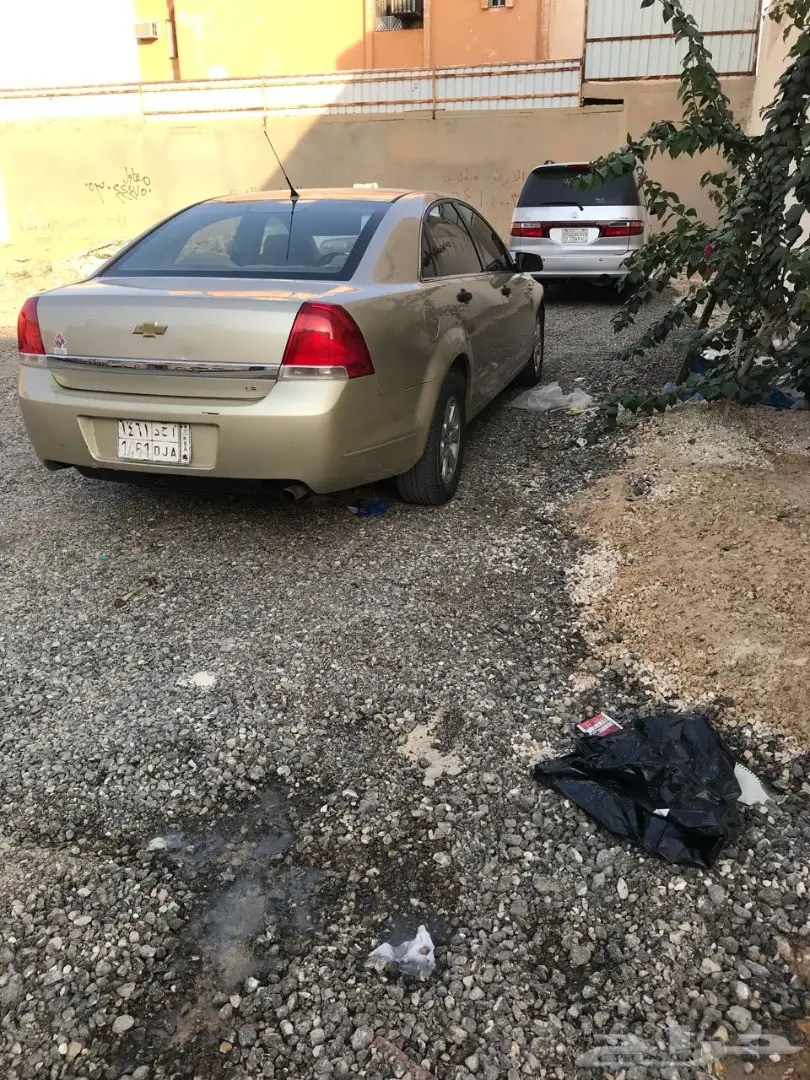 كابرس للبيع والبيع سمح باذن الله  (image 1)