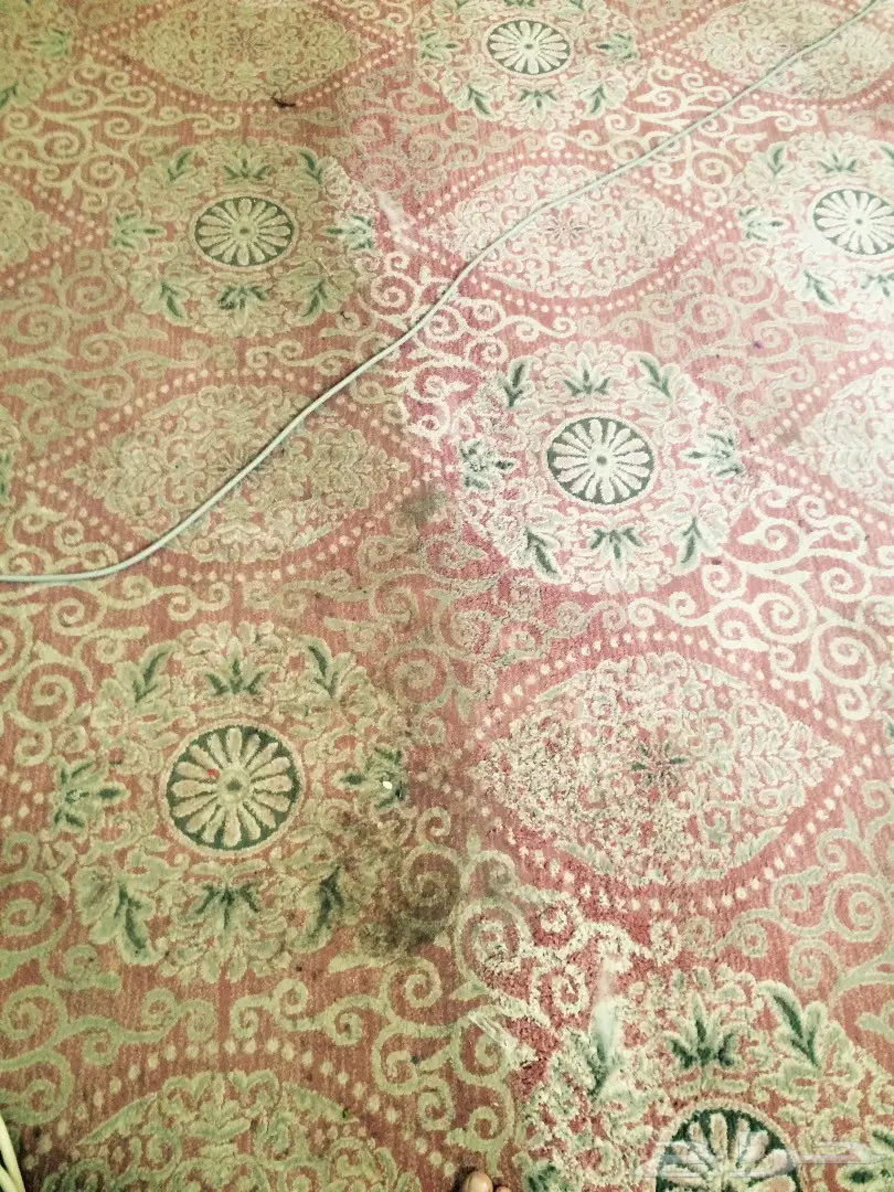 شركة تنظيف كنب موكيت مجالس فرشات سجاد  (image 6)