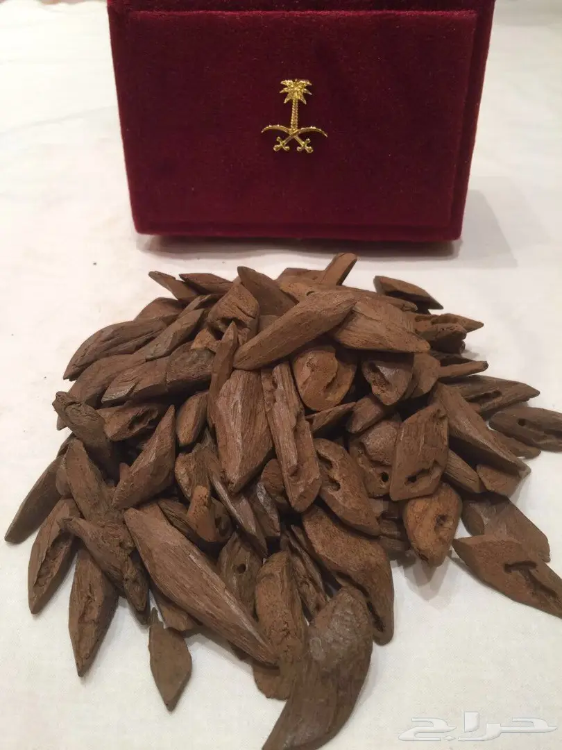 مروكي محسن درجه اولى ... تراه يجمل  (image 1)