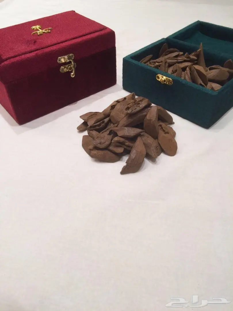 مروكي محسن درجه اولى ... تراه يجمل  (image 2)