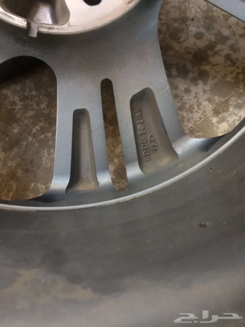 جنوب النترا 2017 (image 2)