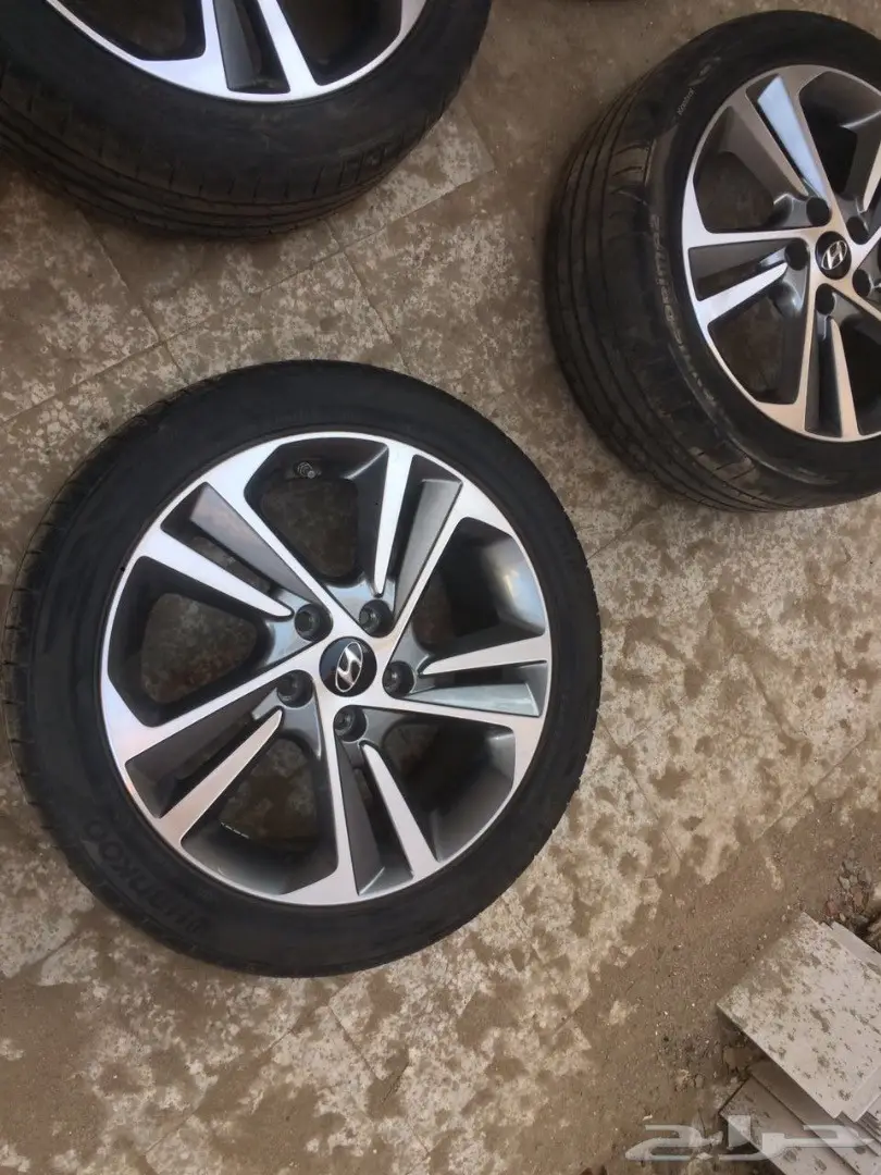 جنوب النترا 2017 (image 3)