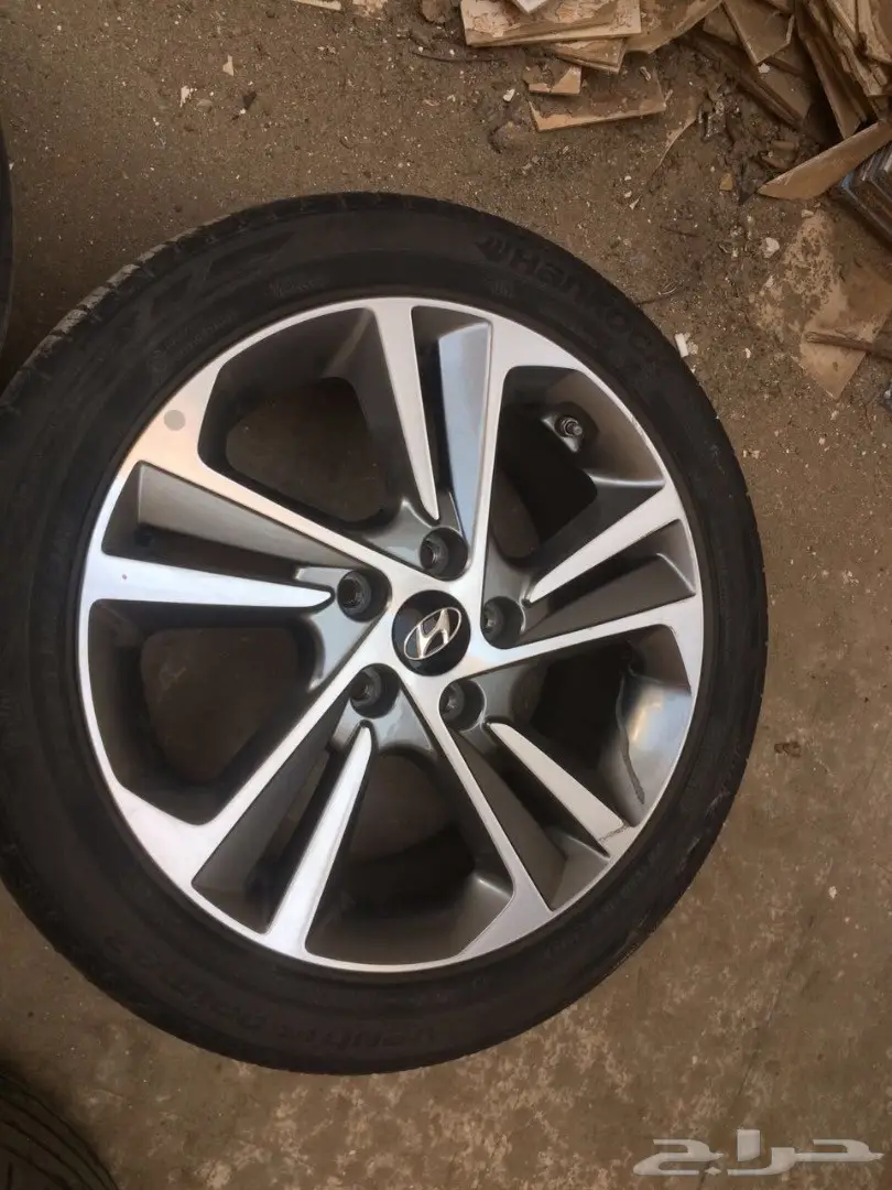 جنوب النترا 2017 (image 4)