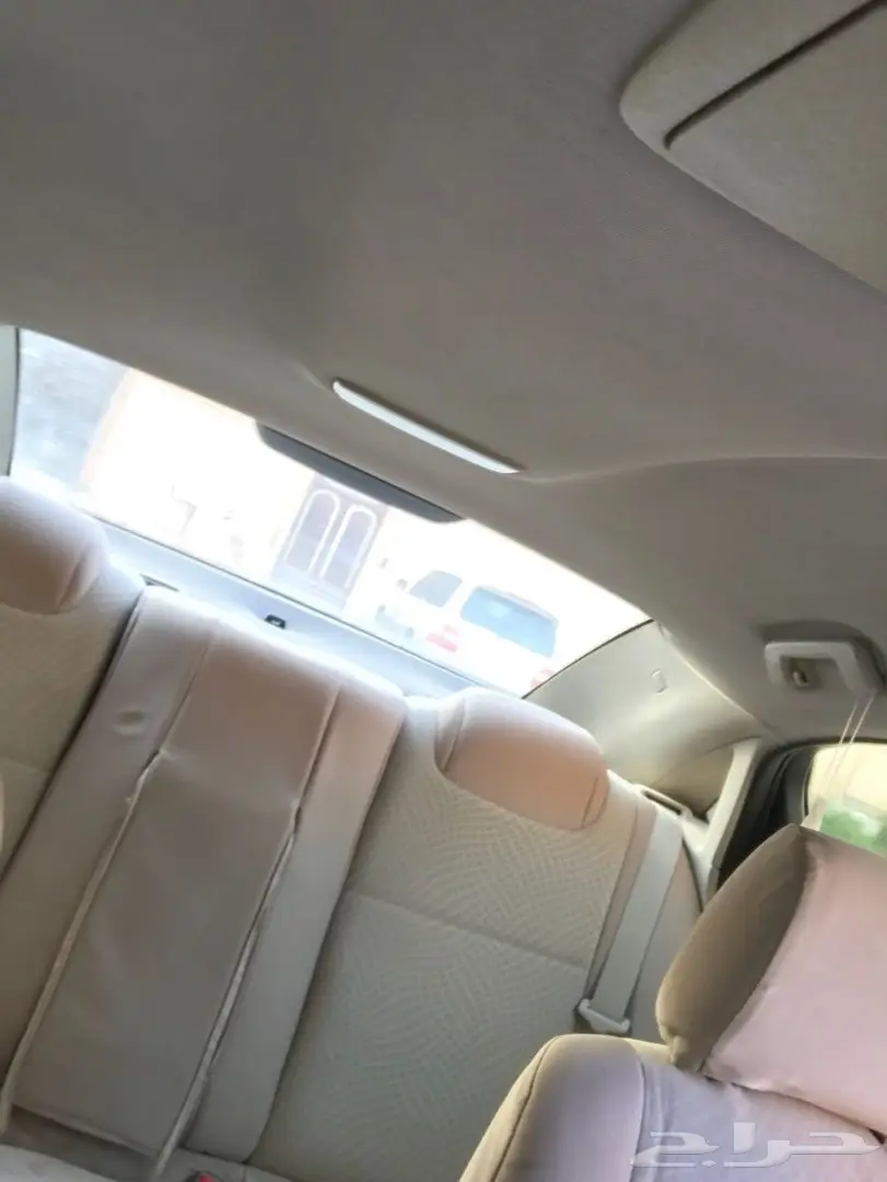 كابرس للبيع والبيع سمح باذن الله  (image 2)