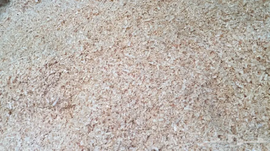 نشارة   (image 2)