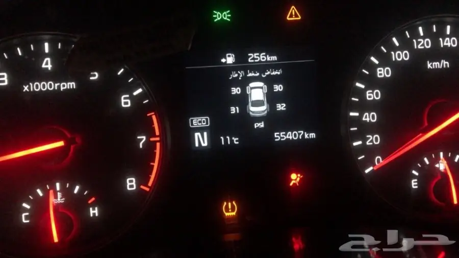 كادنزا 2017 - فرصة لا تعوض! (image 9)