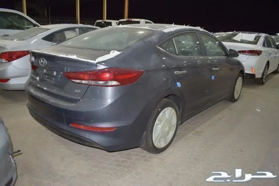 النترا 2018 - جميع الفيئات - المجدوعي والوعلان (image 2)